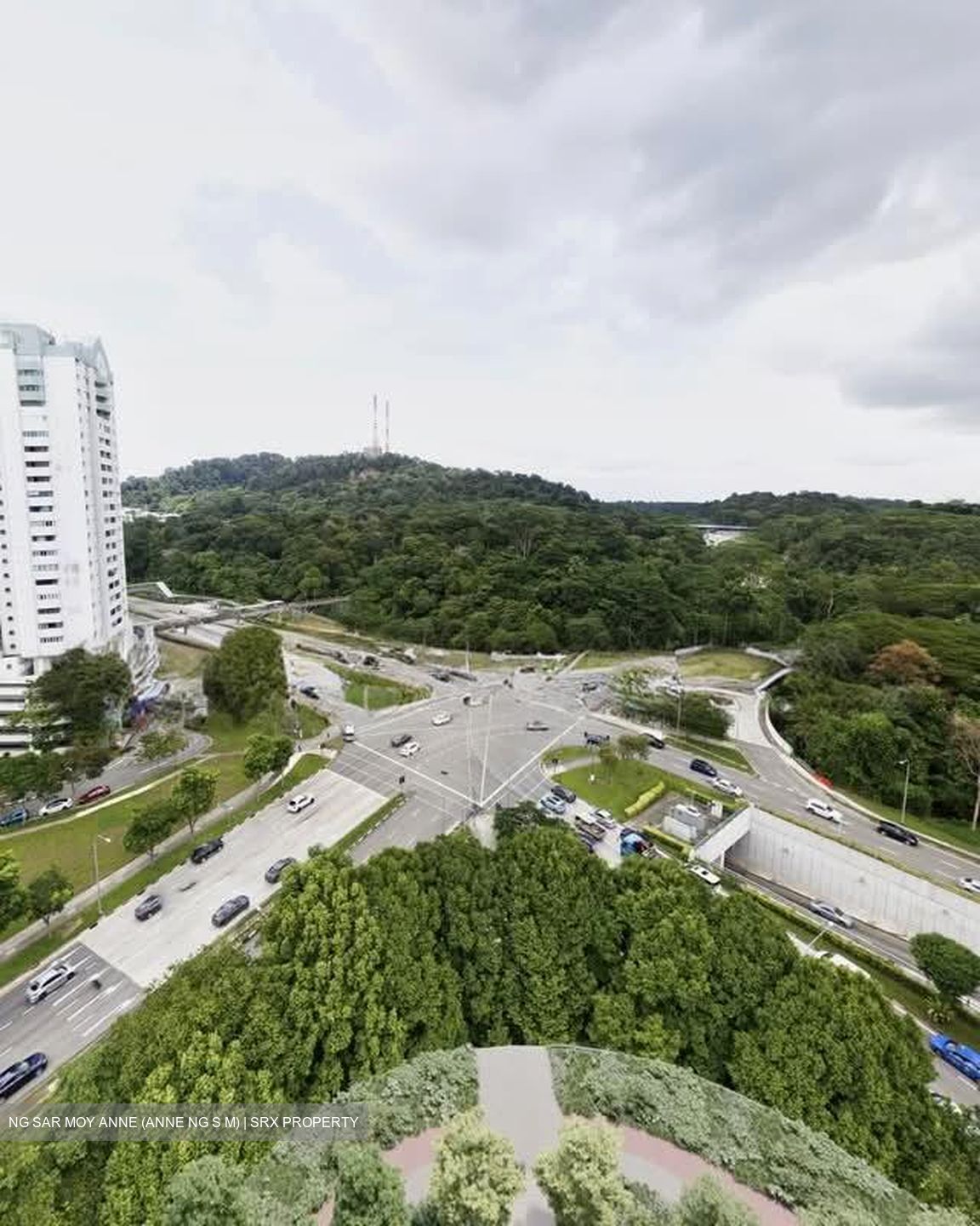 The Reserve Residences (D21), Apartment #548484701